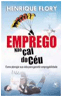 E como evit&aacute;-las